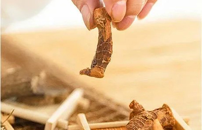 夏日三伏，教你如何科學(xué)養(yǎng)生，飲食指南讓你健康又消暑…